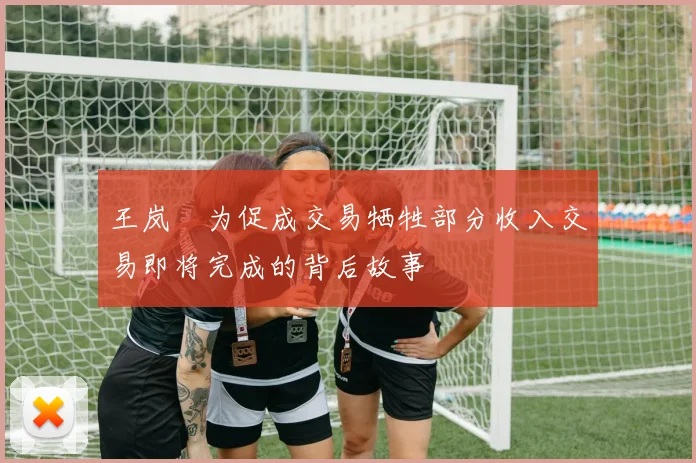 王岚嵚为促成交易牺牲部分收入交易即将完成的背后故事