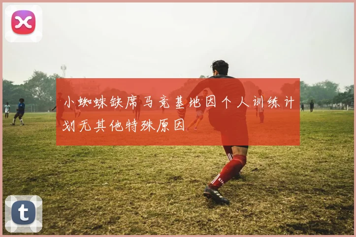 小蜘蛛缺席马竞基地因个人训练计划无其他特殊原因